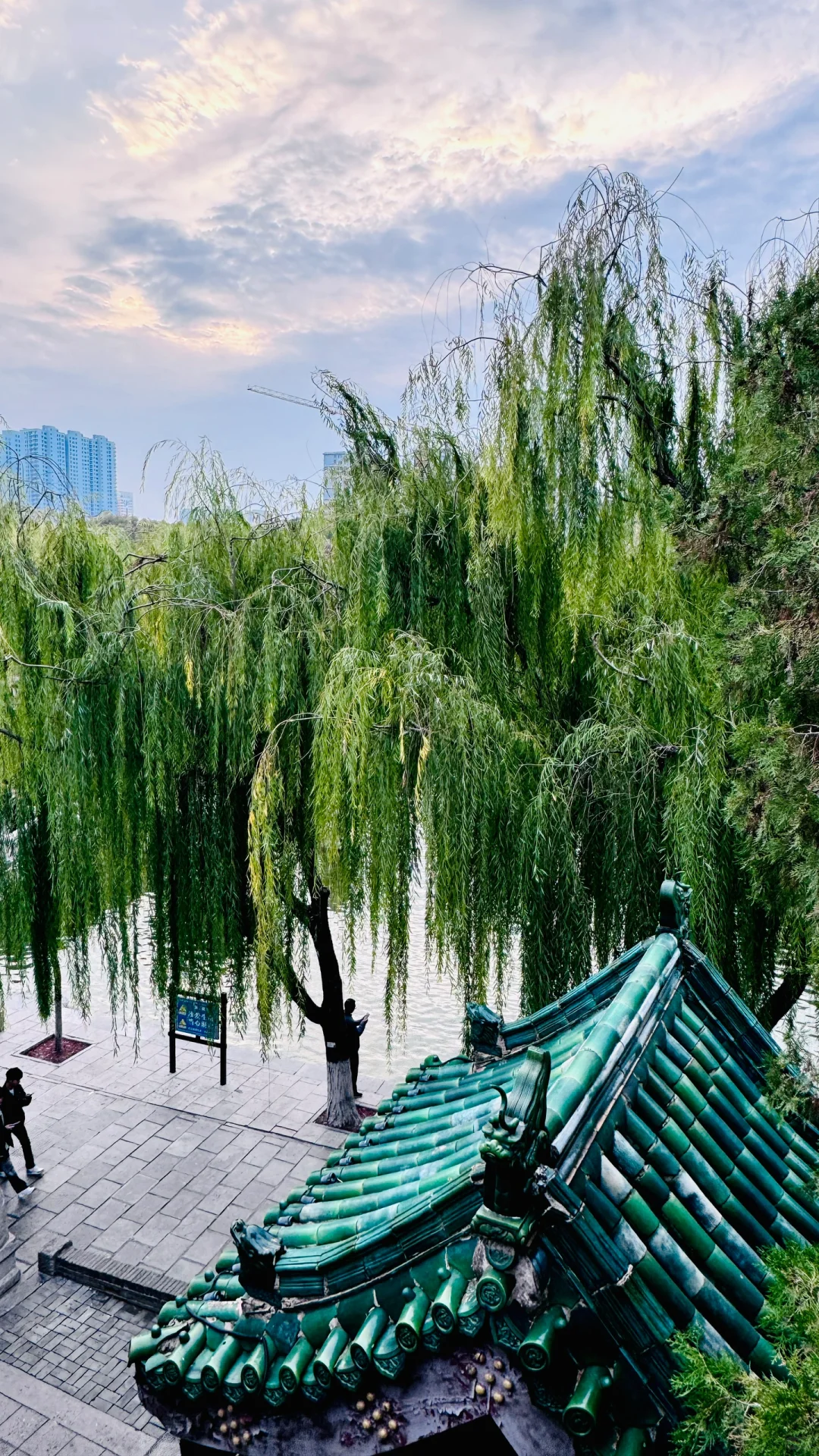 邯郸｜一座等了您3000年的城市💕