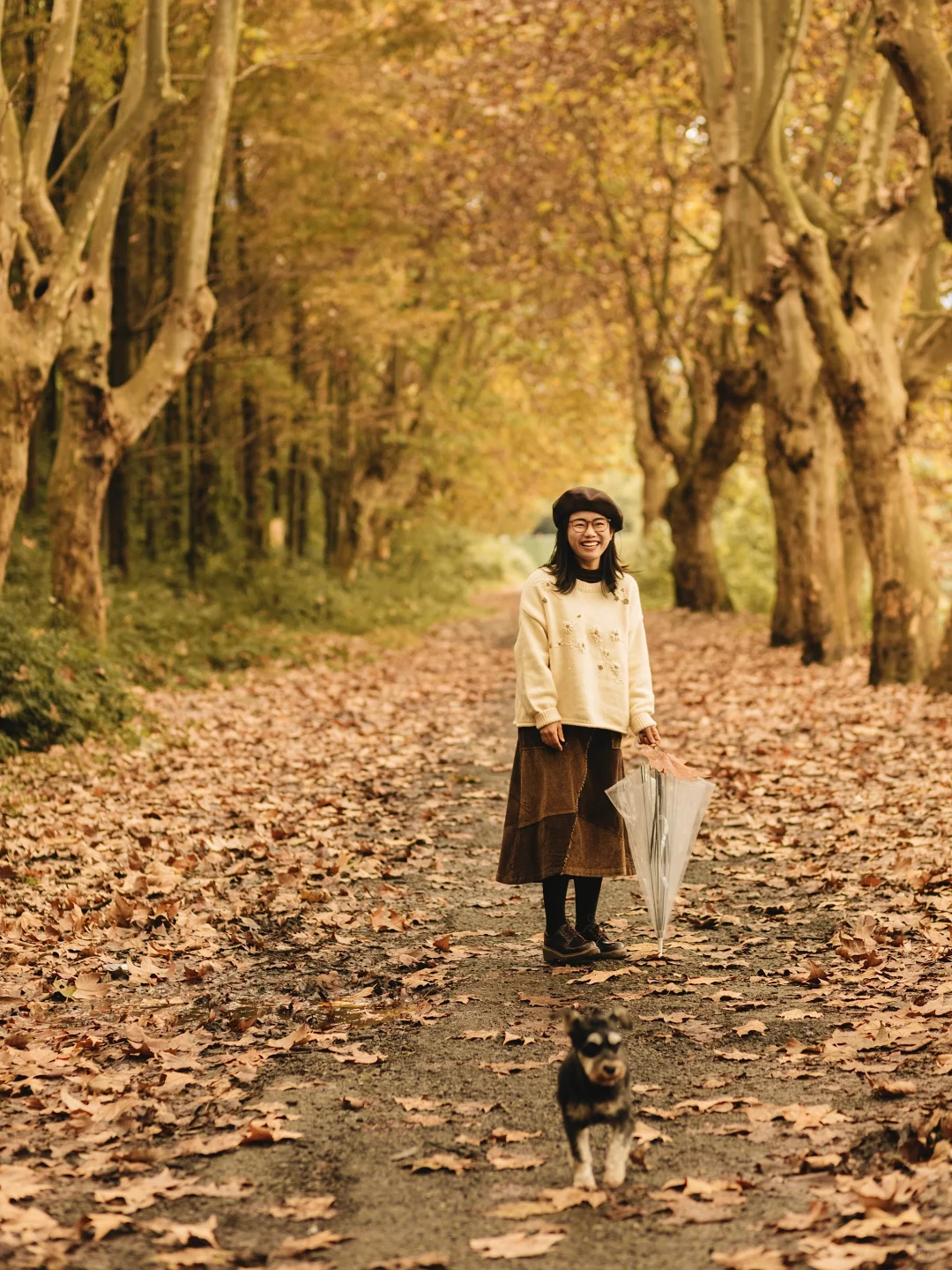 成都｜这里的梧桐已到巅峰！人少📸巨出片