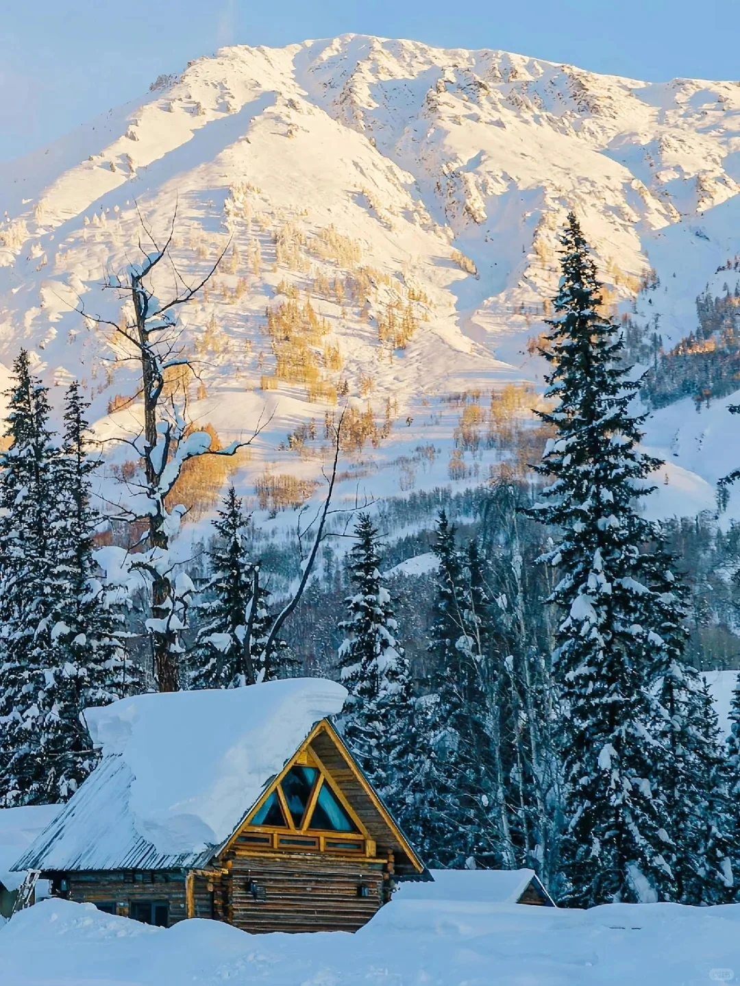 笑死😂三个人去新疆,谁也不想回去了!