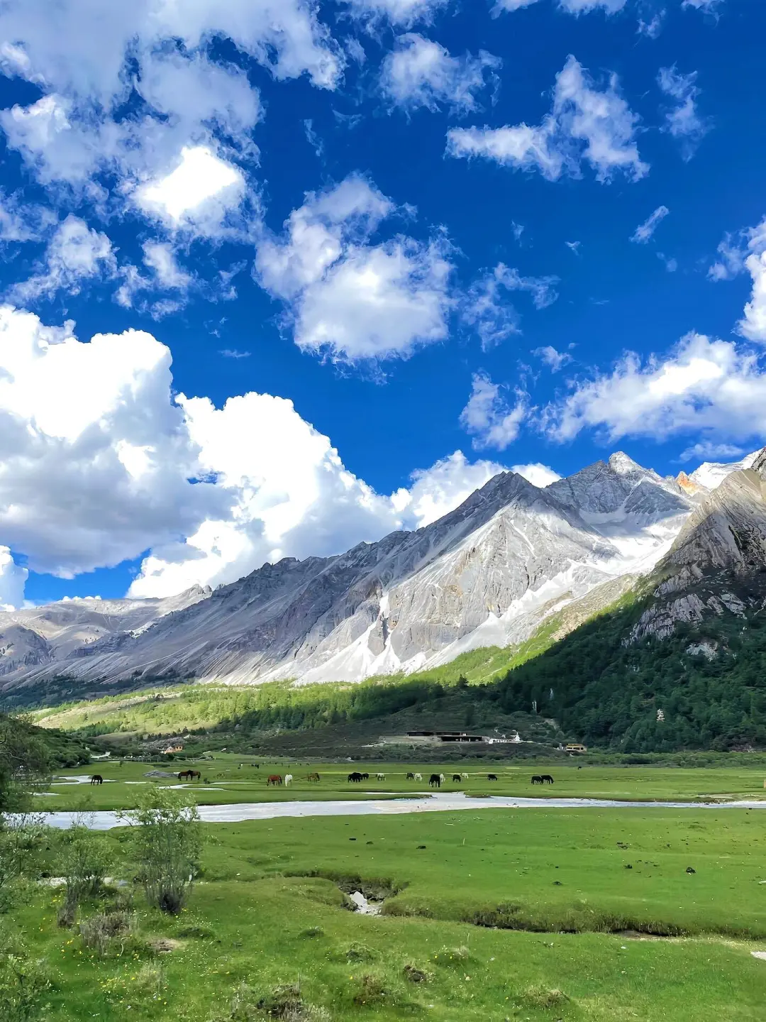 稻城亚丁｜从你的全世界路过｜旅游攻略