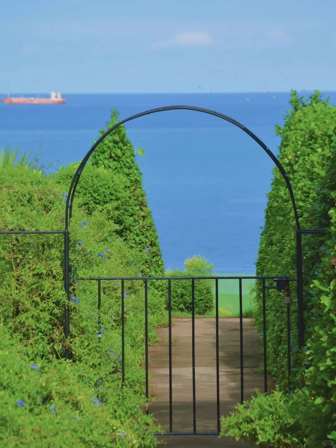 中国最美十大海岛之一—涠洲岛🗺值得一