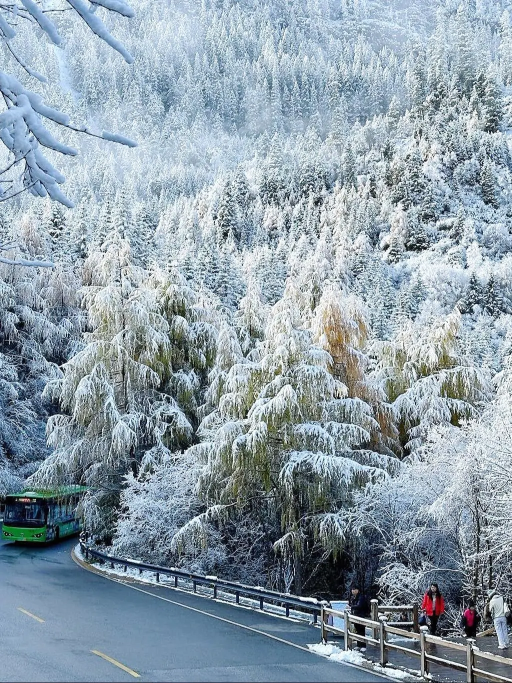 11.19九寨沟live图直出‼️邂逅了一场大雪❄️