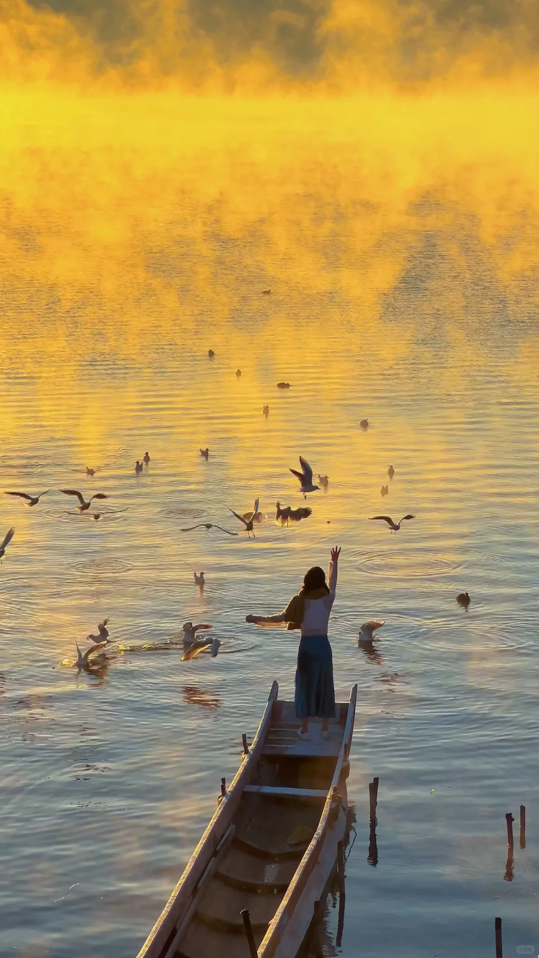 Live图的意义 | 好爱泸沽湖的清晨🌅