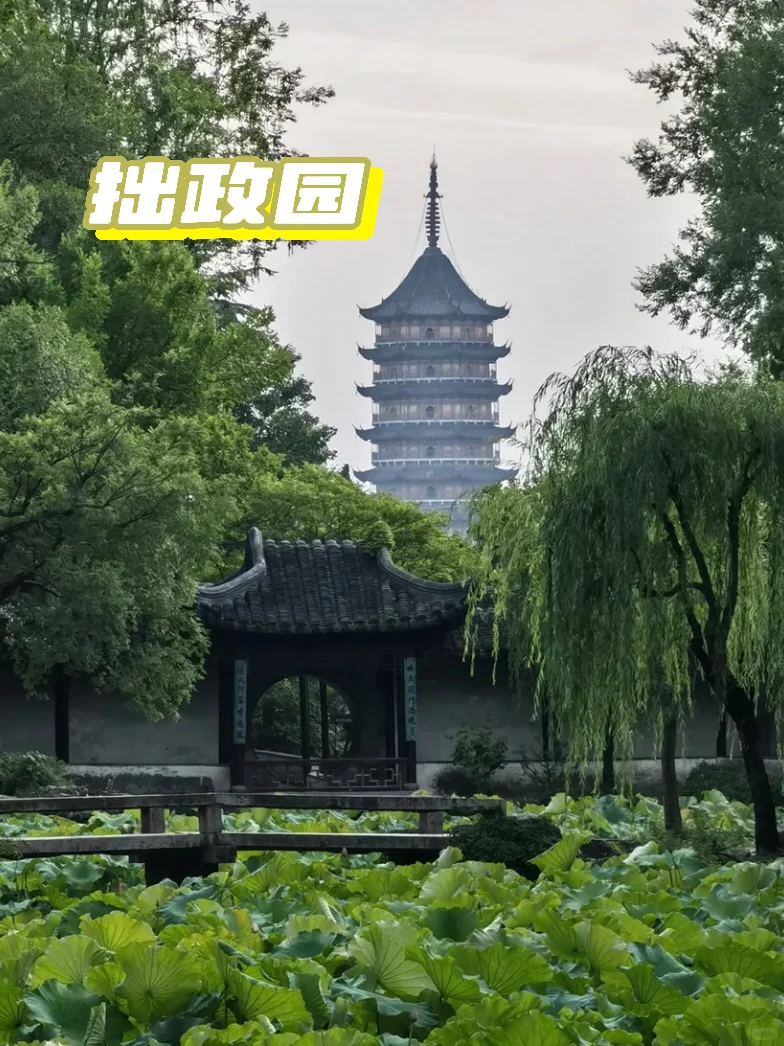 秋季🍂最爱的旅游城市‼️