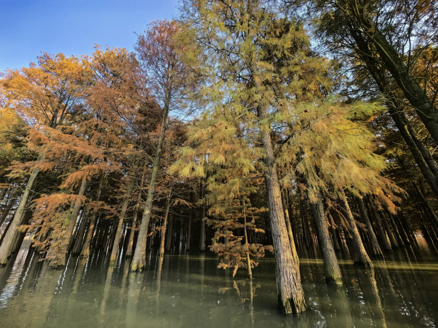 📍合肥周边 免费景点 车程一小时