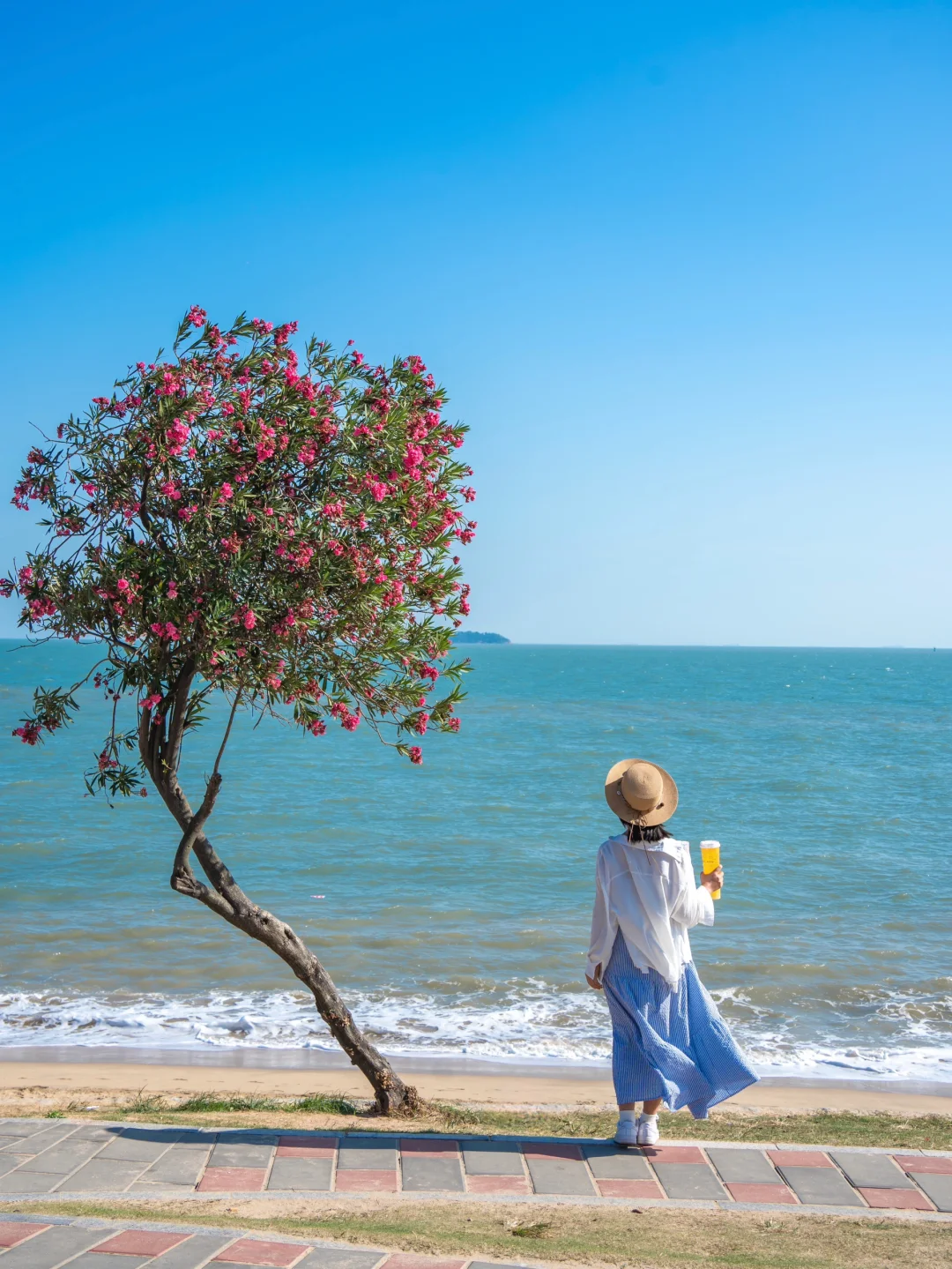 人生建议,落地厦门第一站直奔这里,美疯