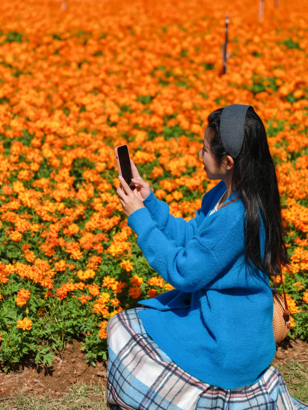 太美啦！！广州塔下的浪漫花海🌸12.1实拍