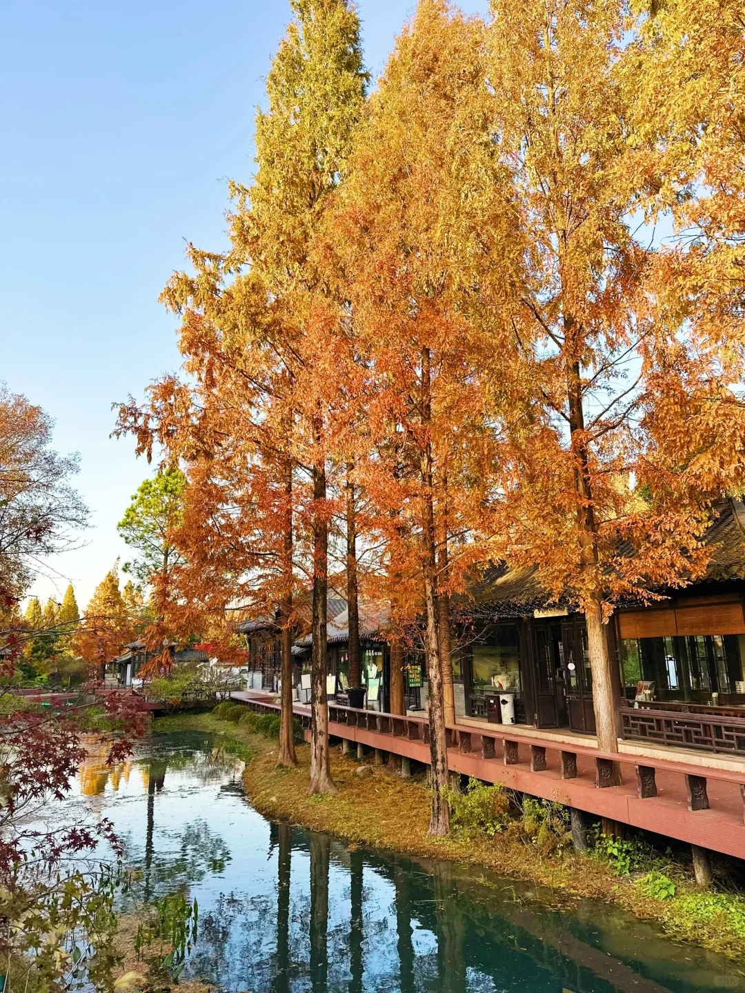 南京大学生一日勇闯『扬州』6️⃣大景点🔥