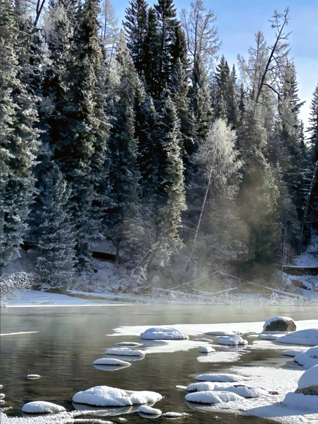 笑死😂三个人去新疆,谁也不想回去了!