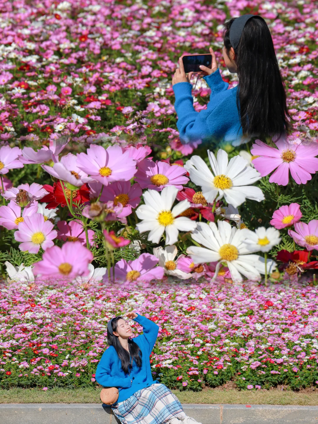 太美啦！！广州塔下的浪漫花海🌸12.1实拍