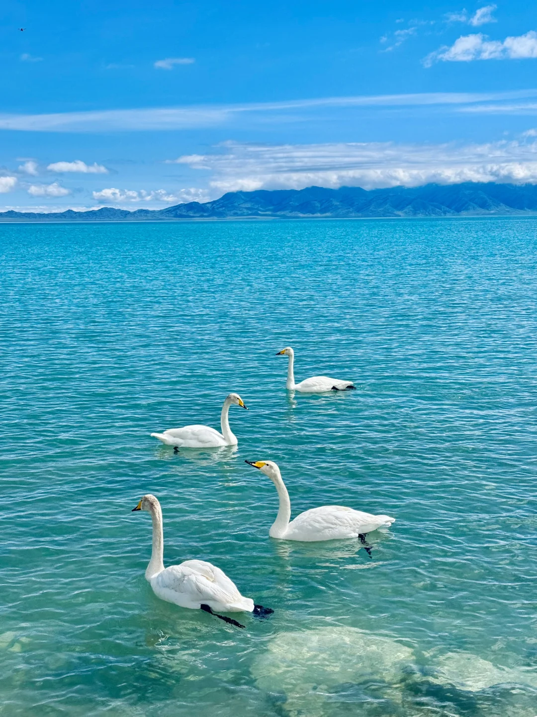 威海2024旅游超全攻略，希望可以帮到大家