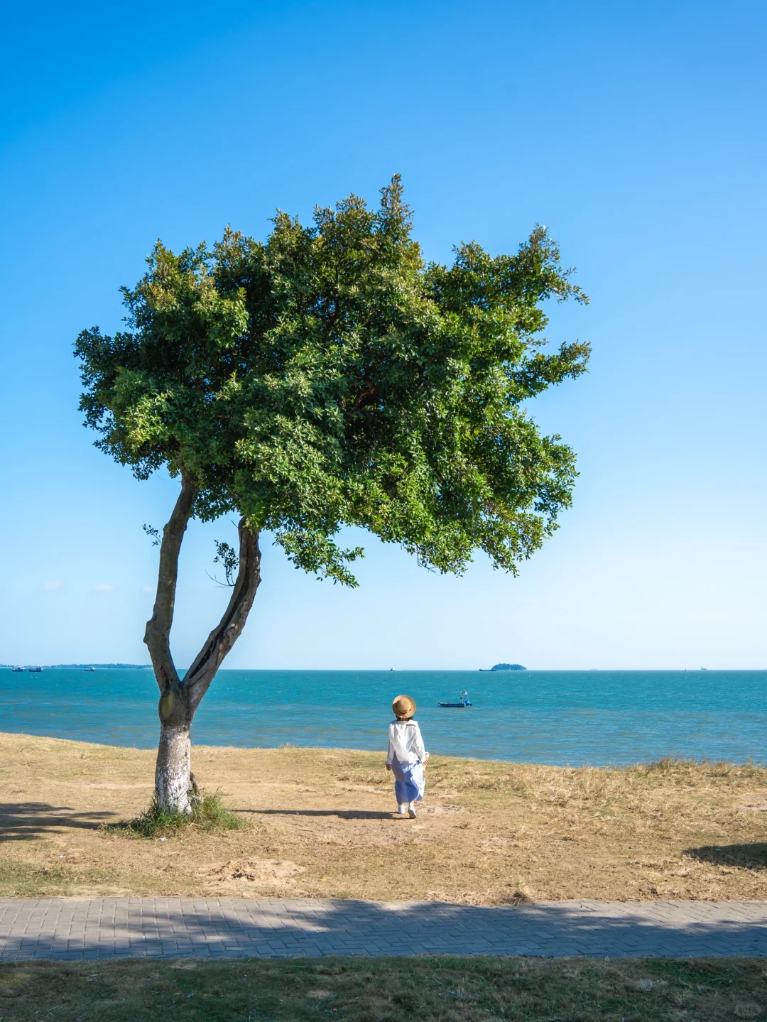 人生建议,落地厦门第一站直奔这里,美疯