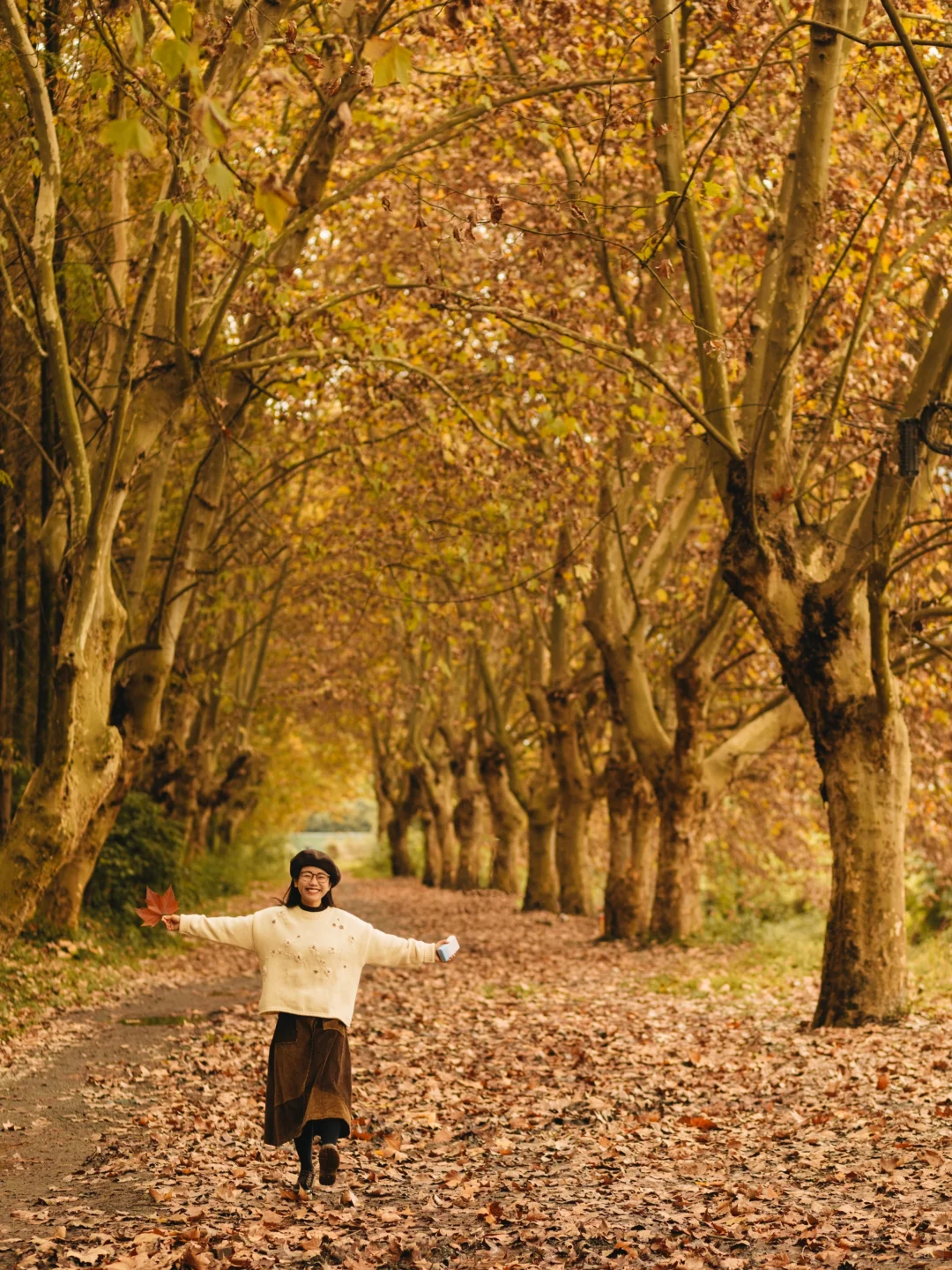 成都｜这里的梧桐已到巅峰！人少📸巨出片