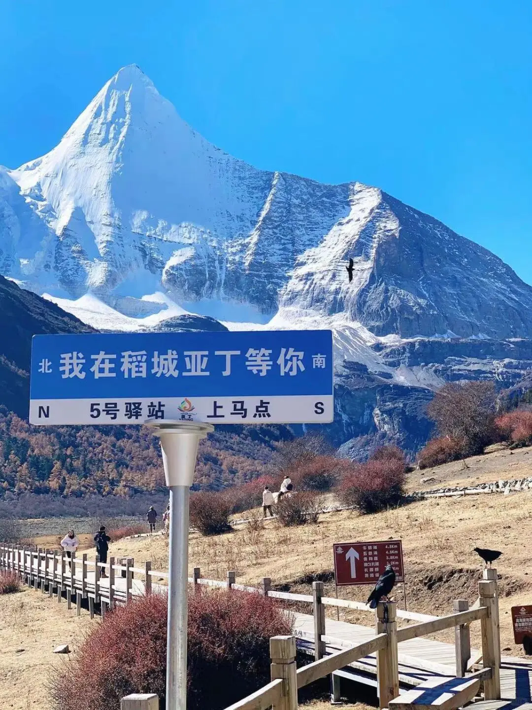 稻城亚丁｜从你的全世界路过｜旅游攻略