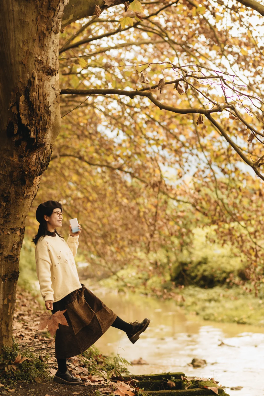 成都｜这里的梧桐已到巅峰！人少📸巨出片