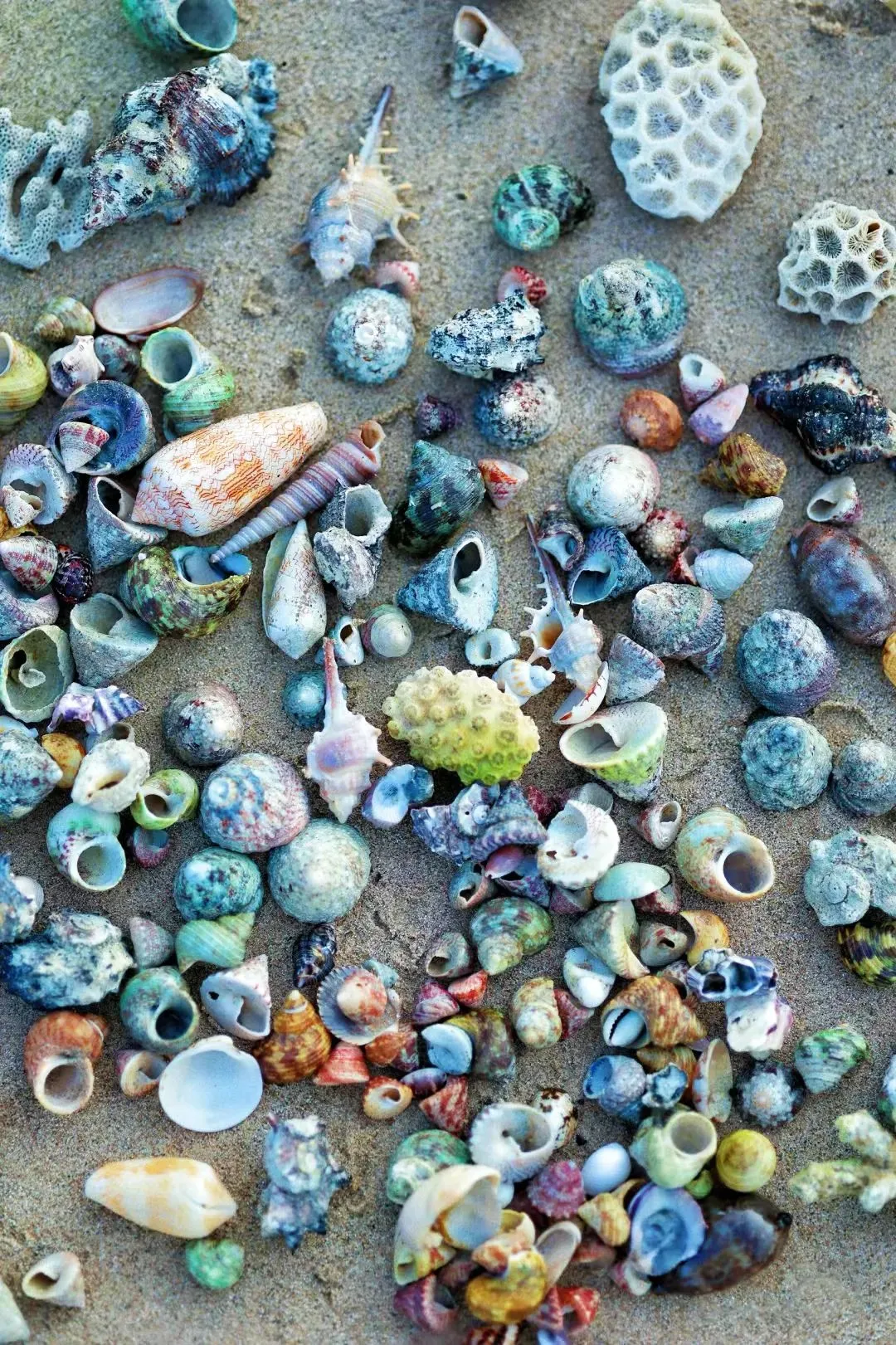 中国最美十大海岛之一—涠洲岛🗺值得一