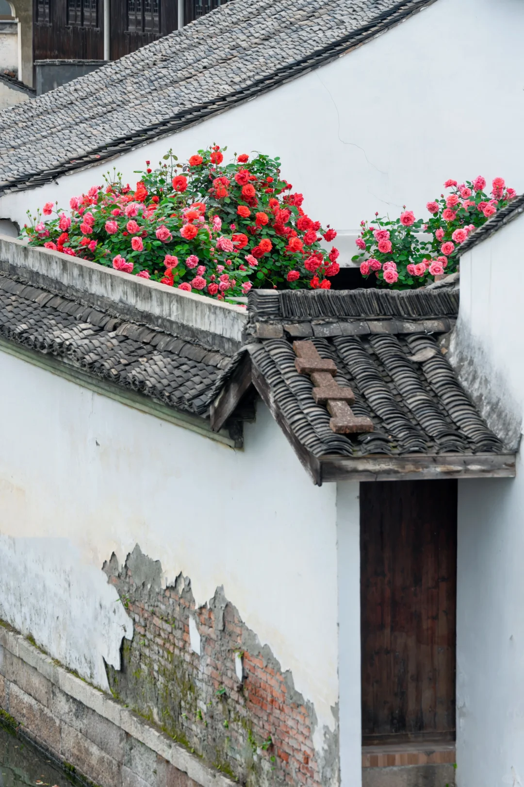 迄今为止，我最喜欢的冬季旅游城市出现了…