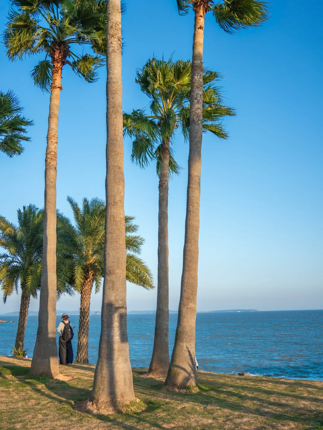人生建议,落地厦门第一站直奔这里,美疯