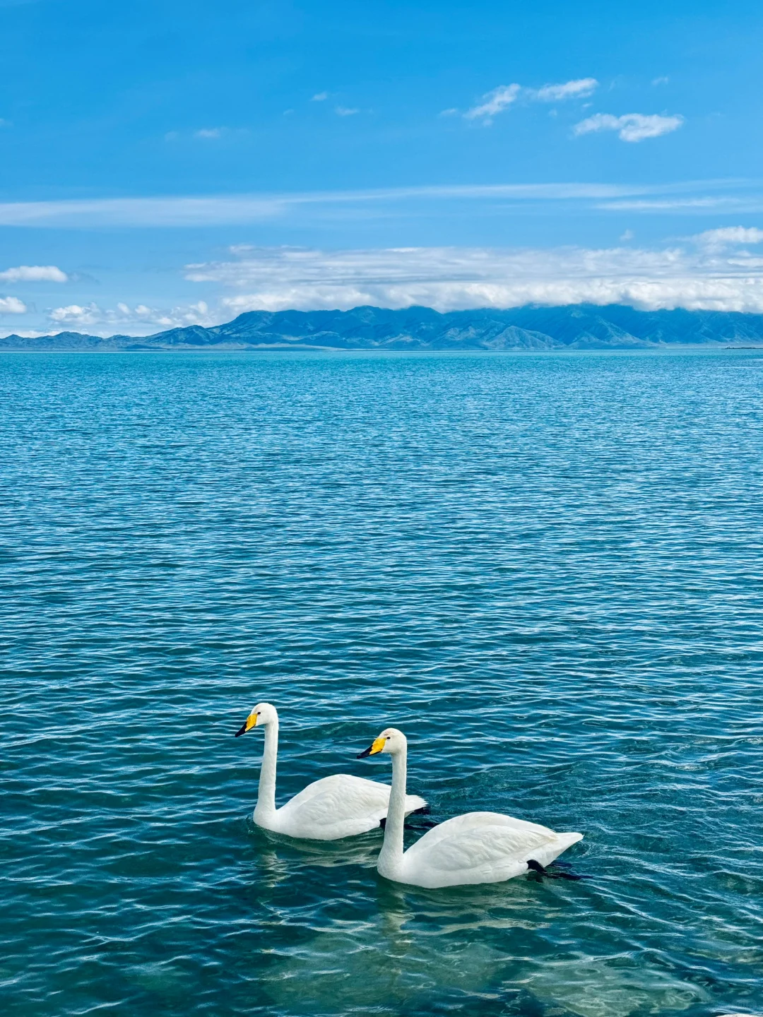 威海2024旅游超全攻略，希望可以帮到大家