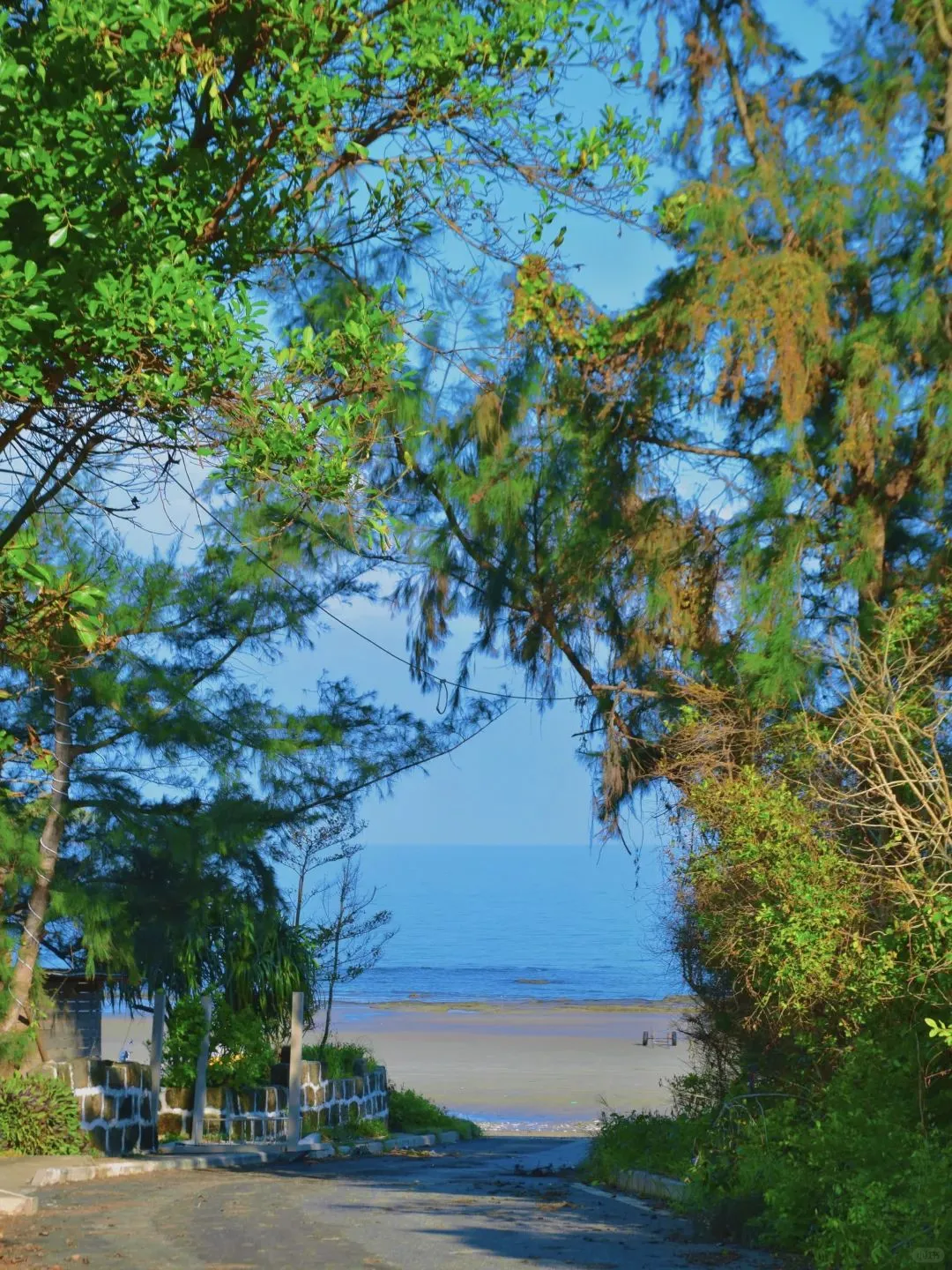 中国最美十大海岛之一—涠洲岛🗺值得一