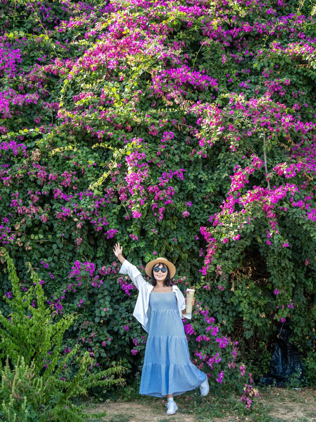 人生建议,落地厦门第一站直奔这里,美疯