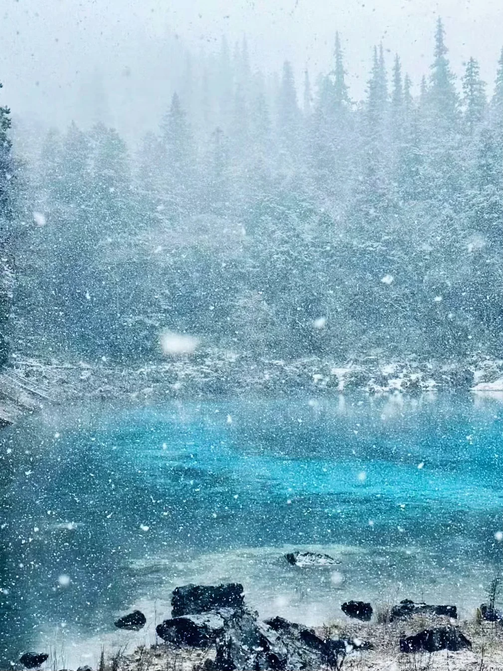 11.19九寨沟live图直出‼️邂逅了一场大雪❄️