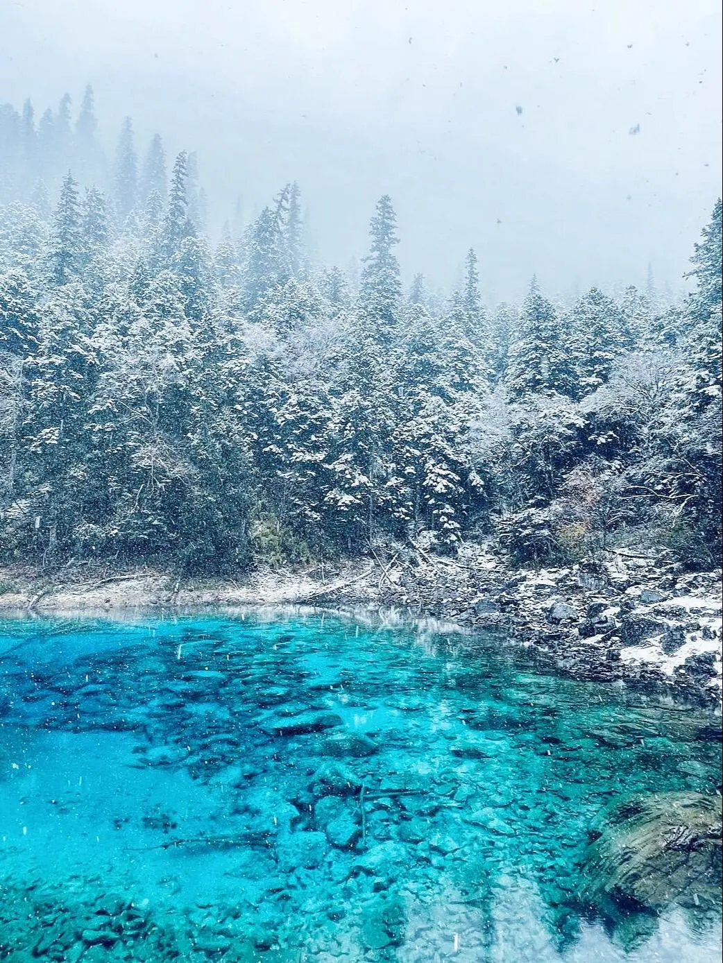 11.19九寨沟live图直出‼️邂逅了一场大雪❄️