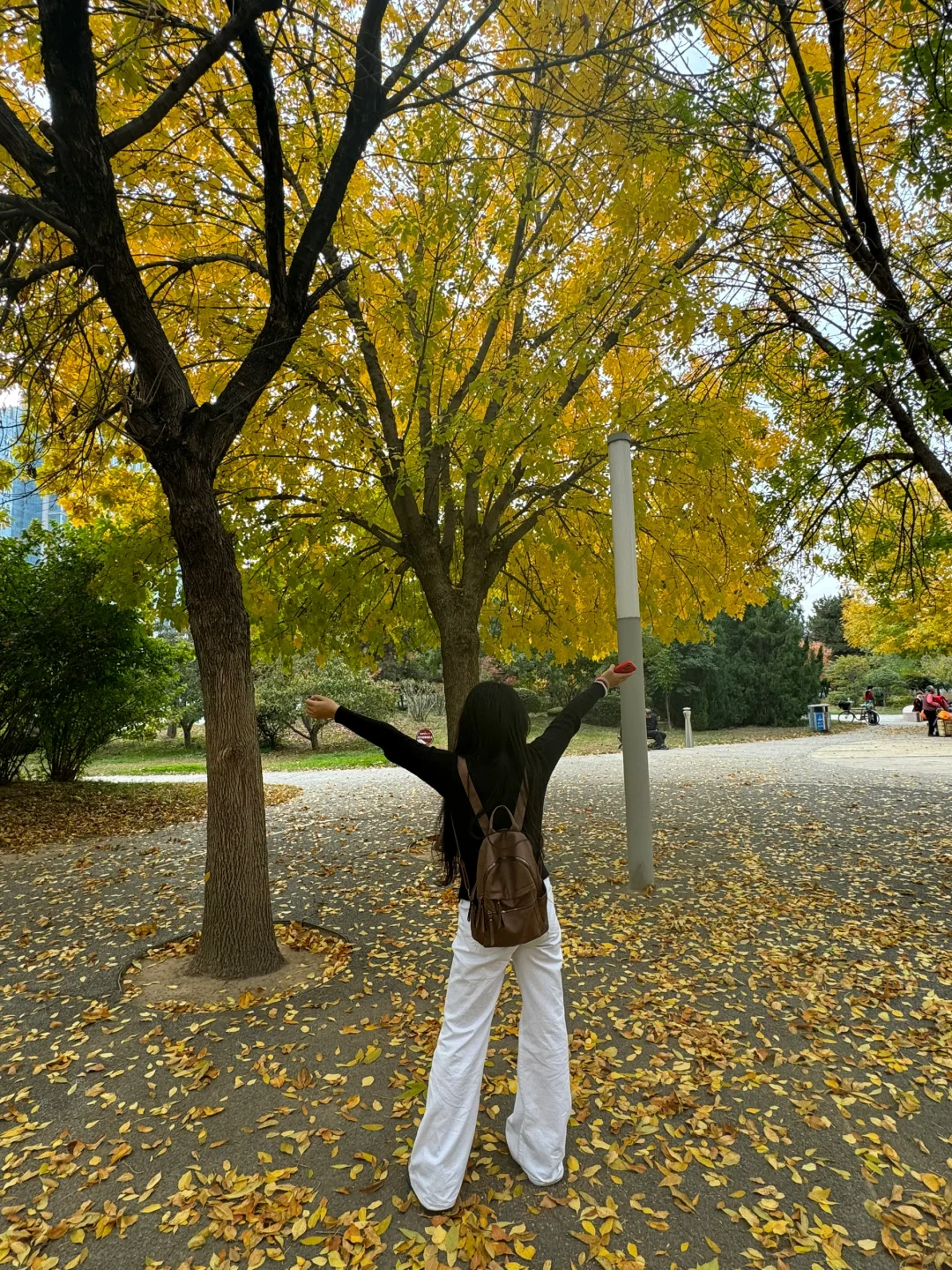 邯郸｜一座等了您3000年的城市💕