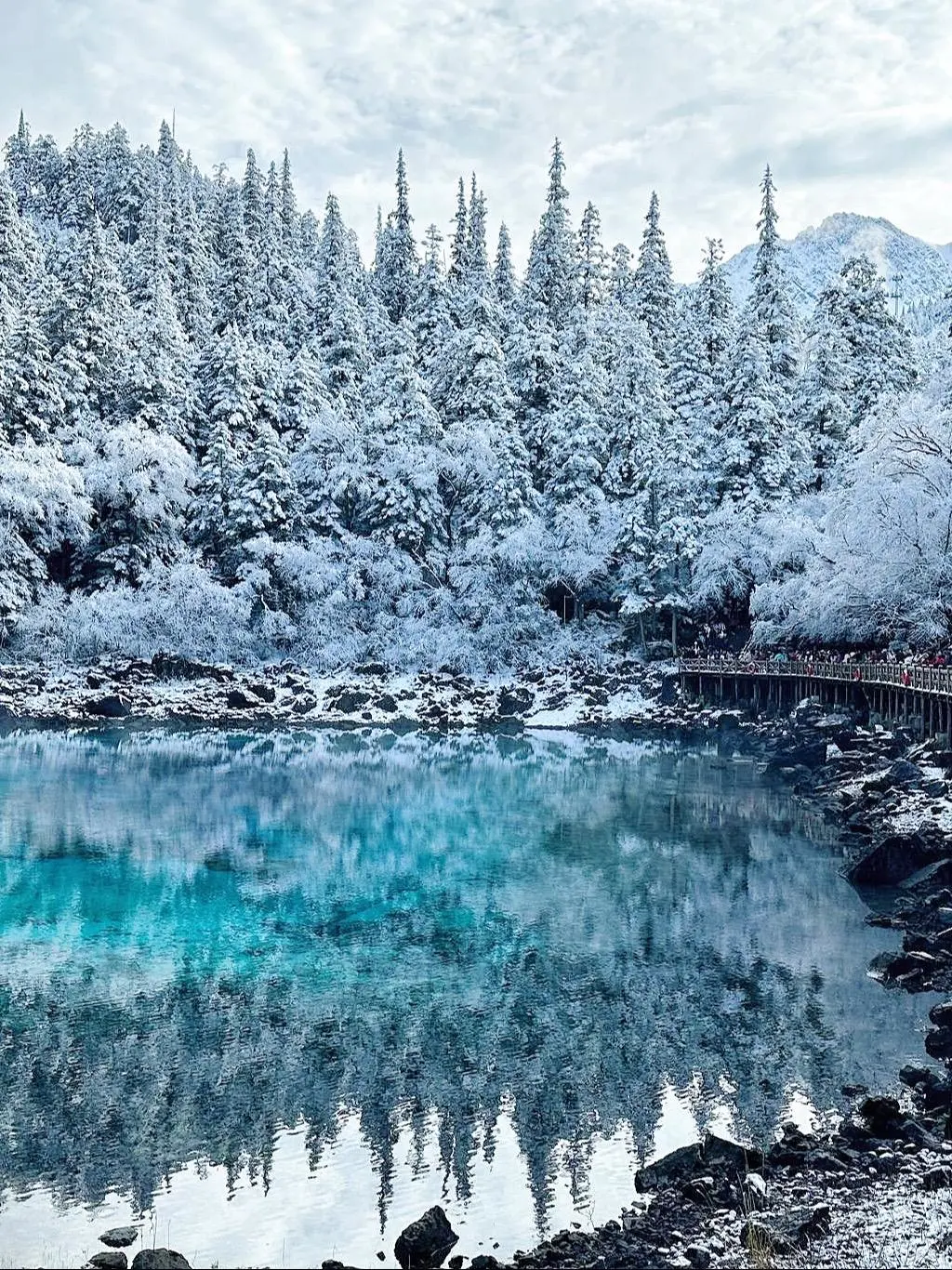 11.19九寨沟live图直出‼️邂逅了一场大雪❄️