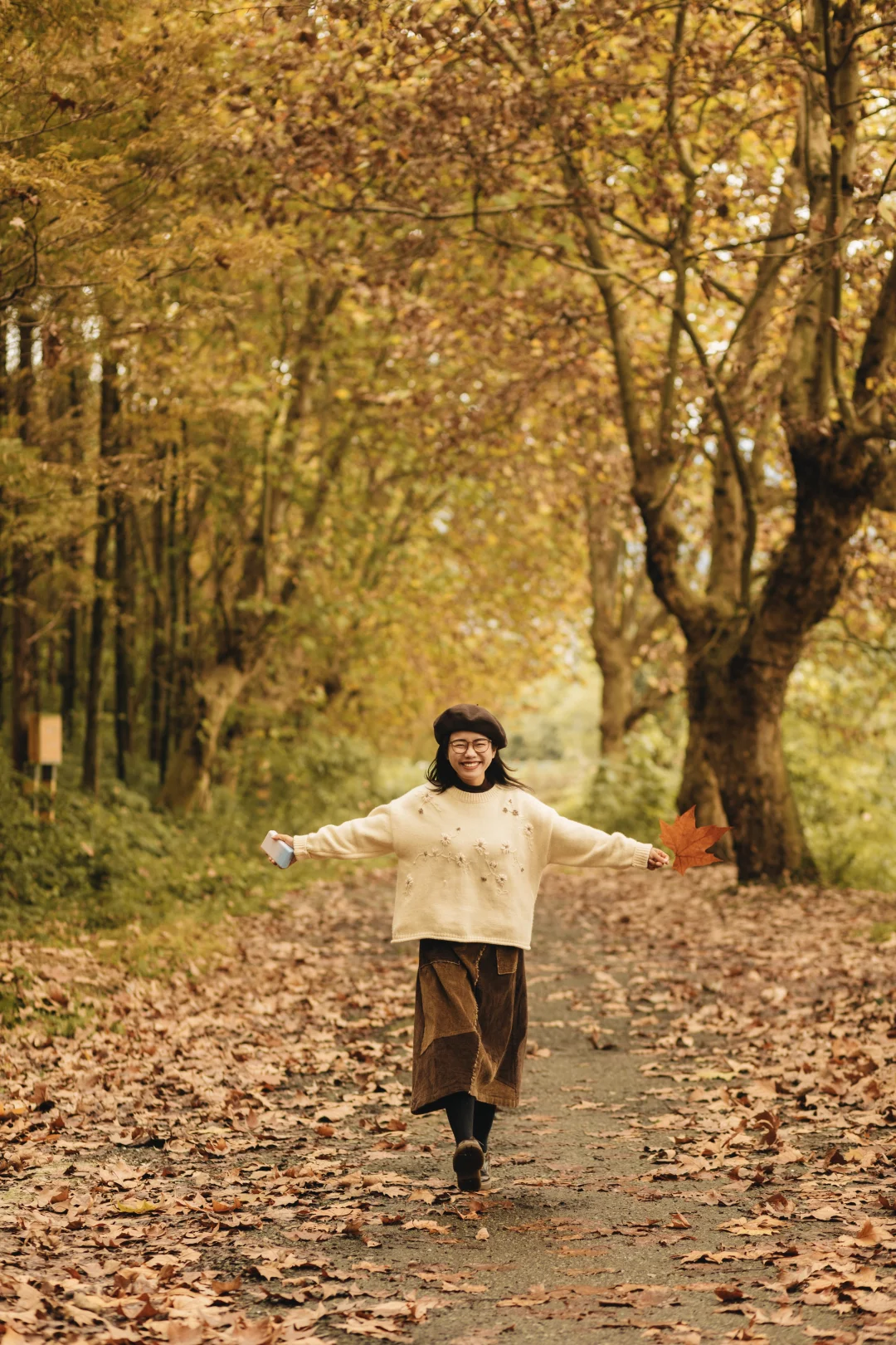 成都｜这里的梧桐已到巅峰！人少📸巨出片