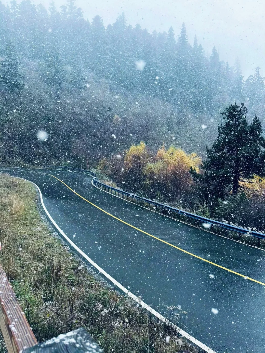 11.19九寨沟live图直出‼️邂逅了一场大雪❄️