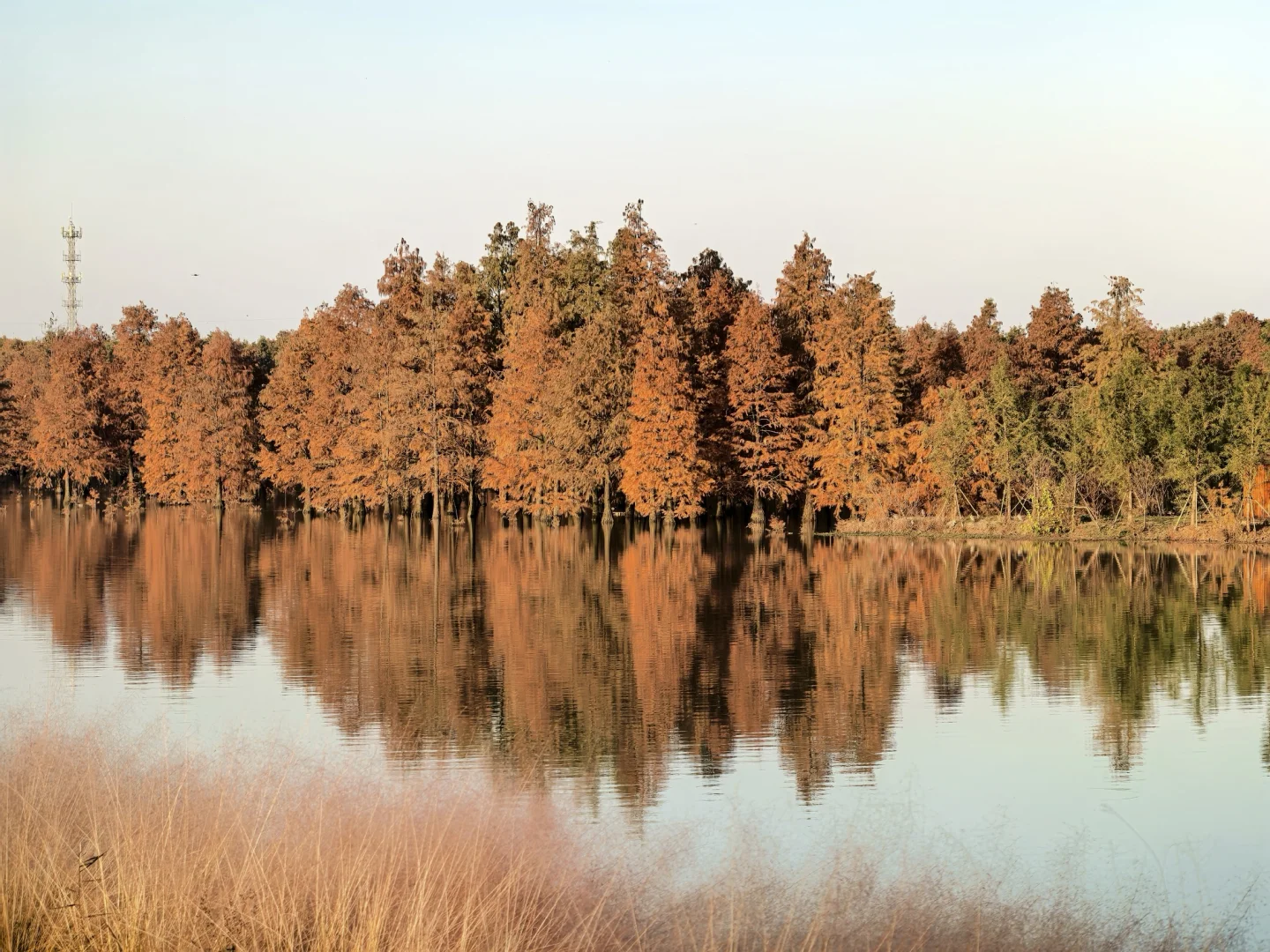 📍合肥周边 免费景点 车程一小时