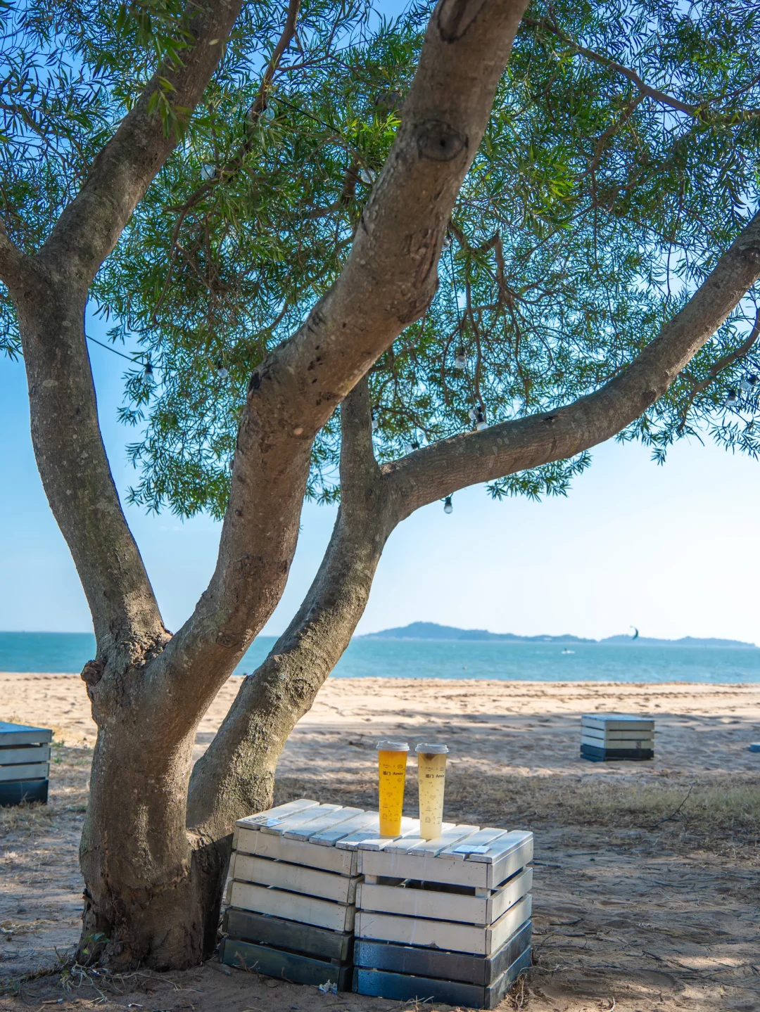 人生建议,落地厦门第一站直奔这里,美疯