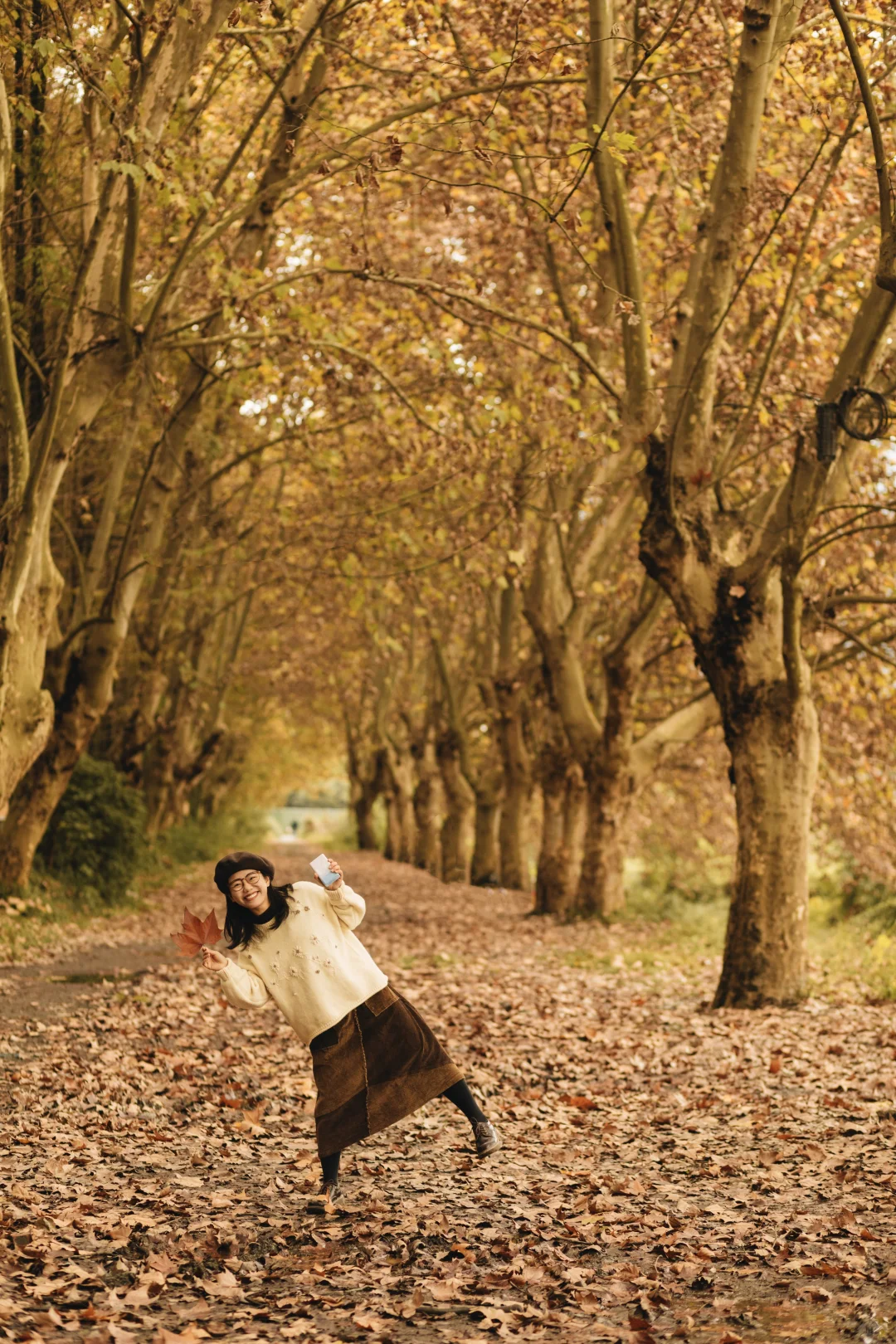 成都｜这里的梧桐已到巅峰！人少📸巨出片