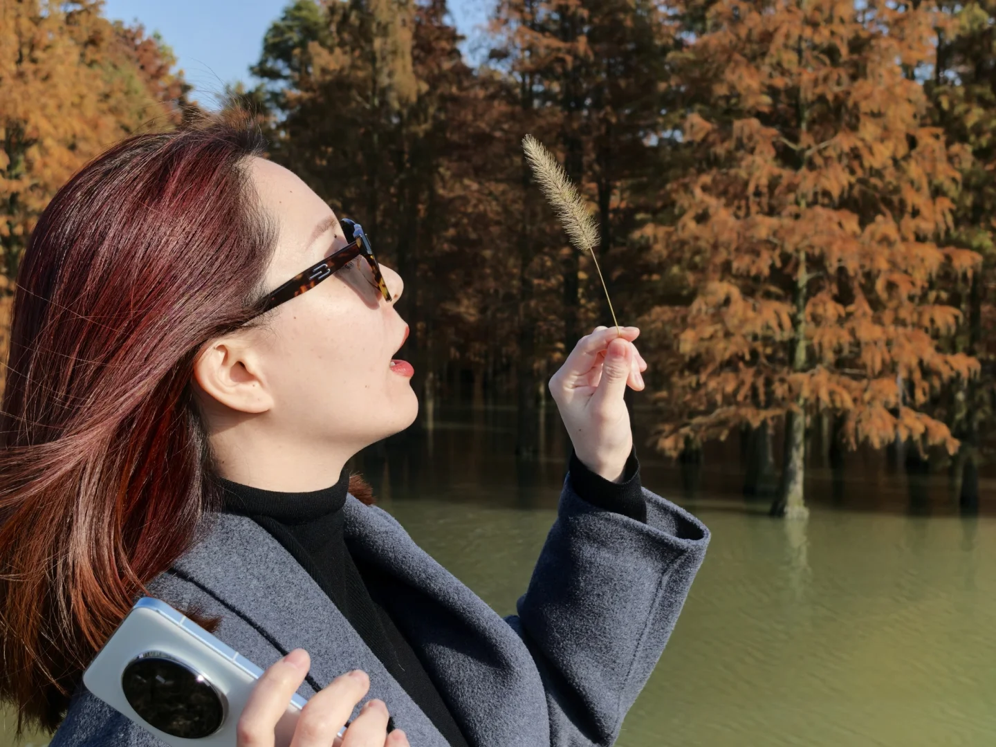 📍合肥周边 免费景点 车程一小时