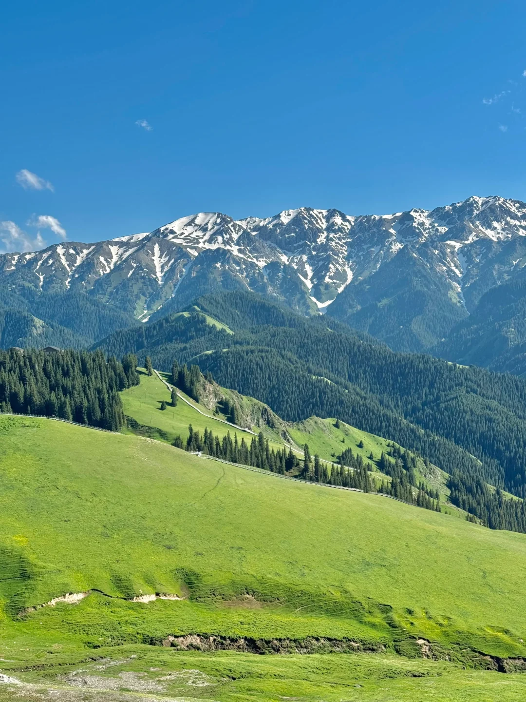 威海2024旅游超全攻略，希望可以帮到大家