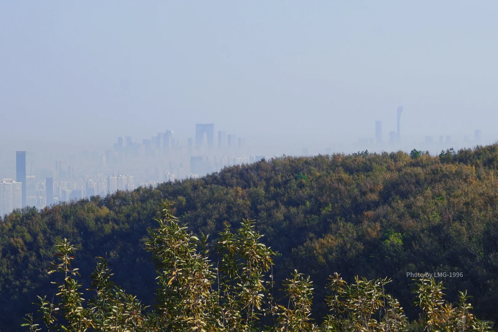 早起的人运气不会太差 看我在旺山拍到了啥