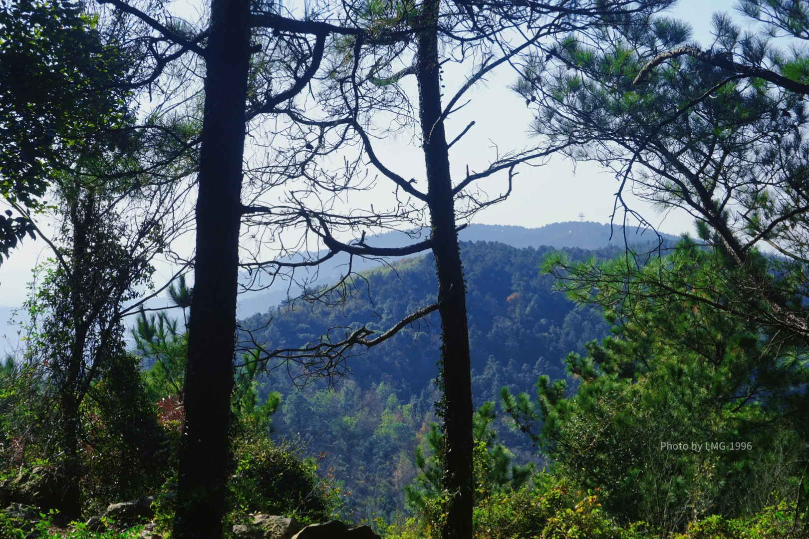 早起的人运气不会太差 看我在旺山拍到了啥