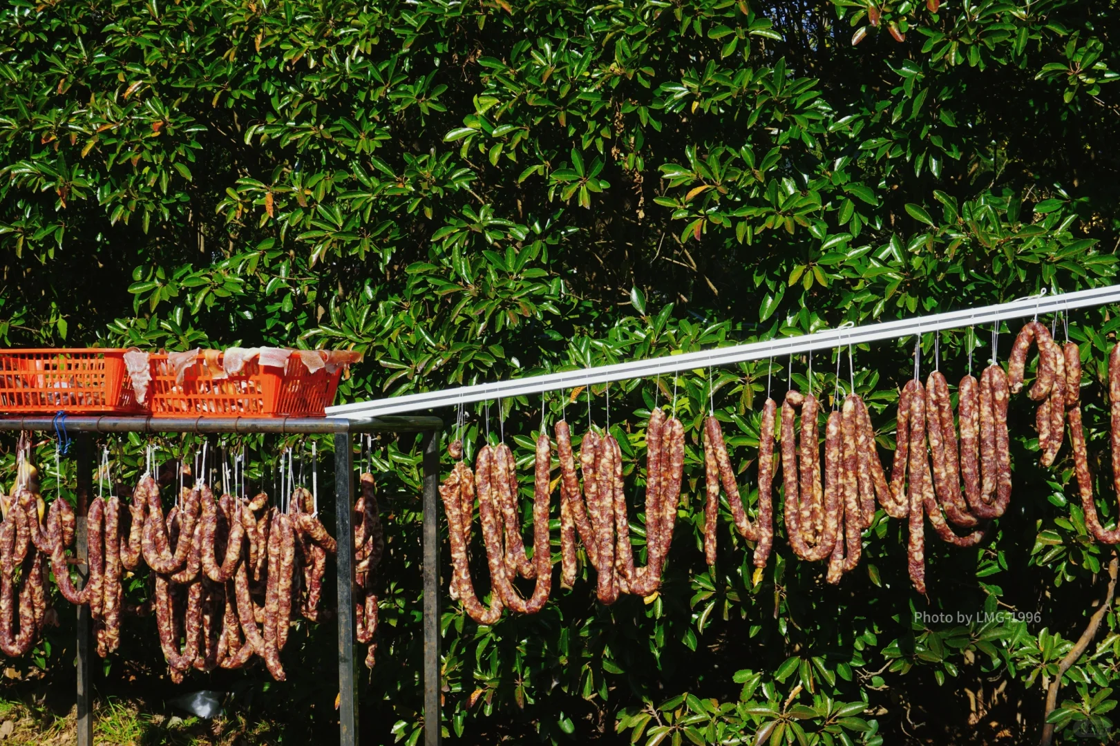 早起的人运气不会太差 看我在旺山拍到了啥