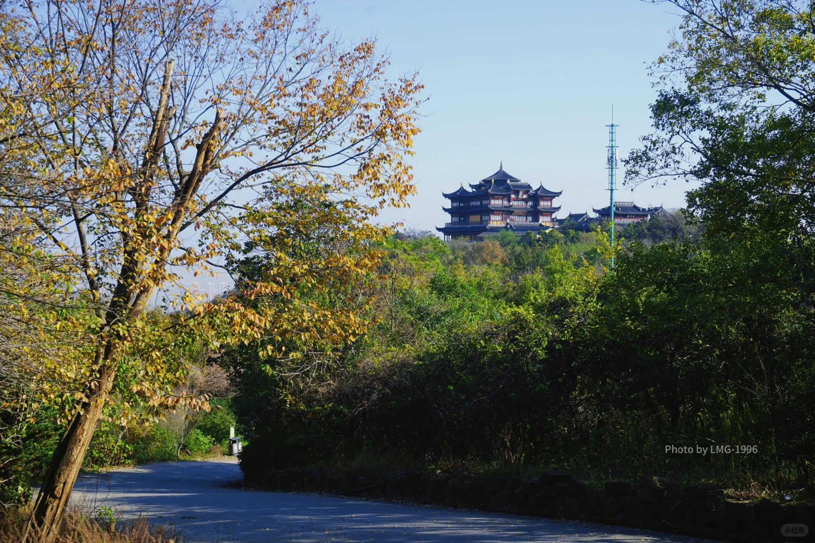 早起的人运气不会太差 看我在旺山拍到了啥