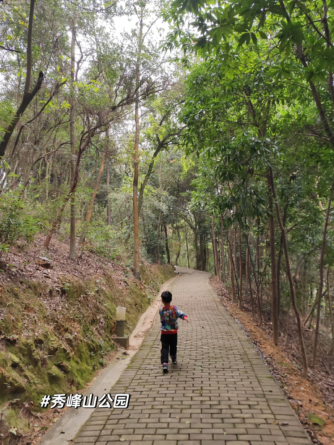 长沙17条徒步路线分享‼️建议收藏
