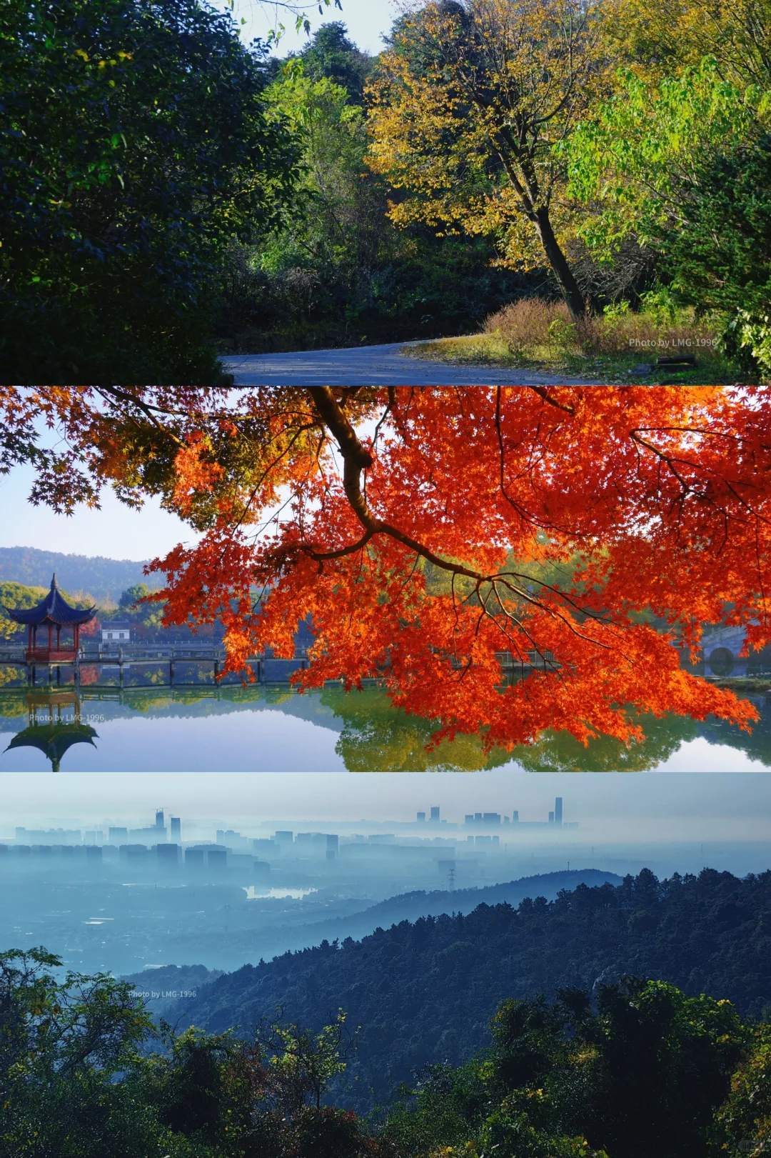 早起的人运气不会太差 看我在旺山拍到了啥