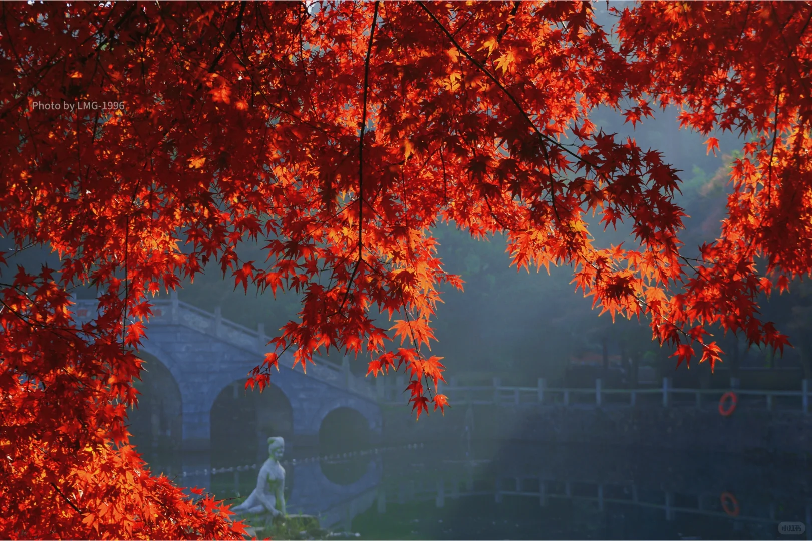 早起的人运气不会太差 看我在旺山拍到了啥