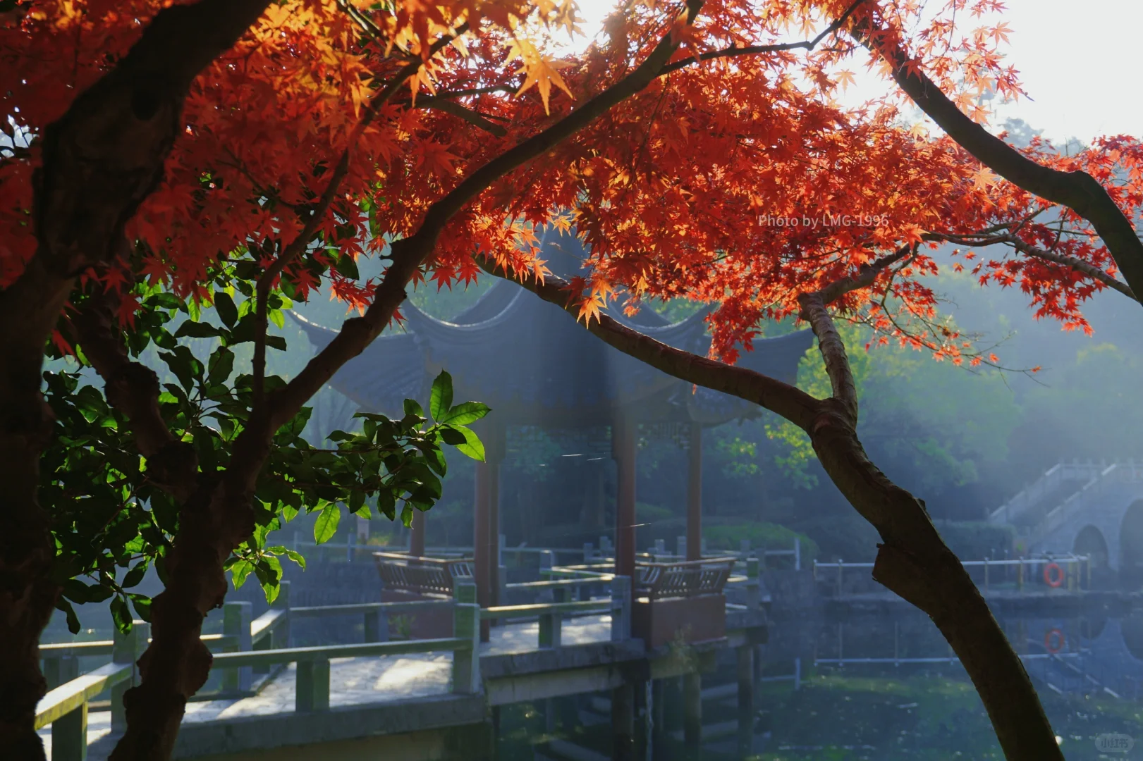 早起的人运气不会太差 看我在旺山拍到了啥