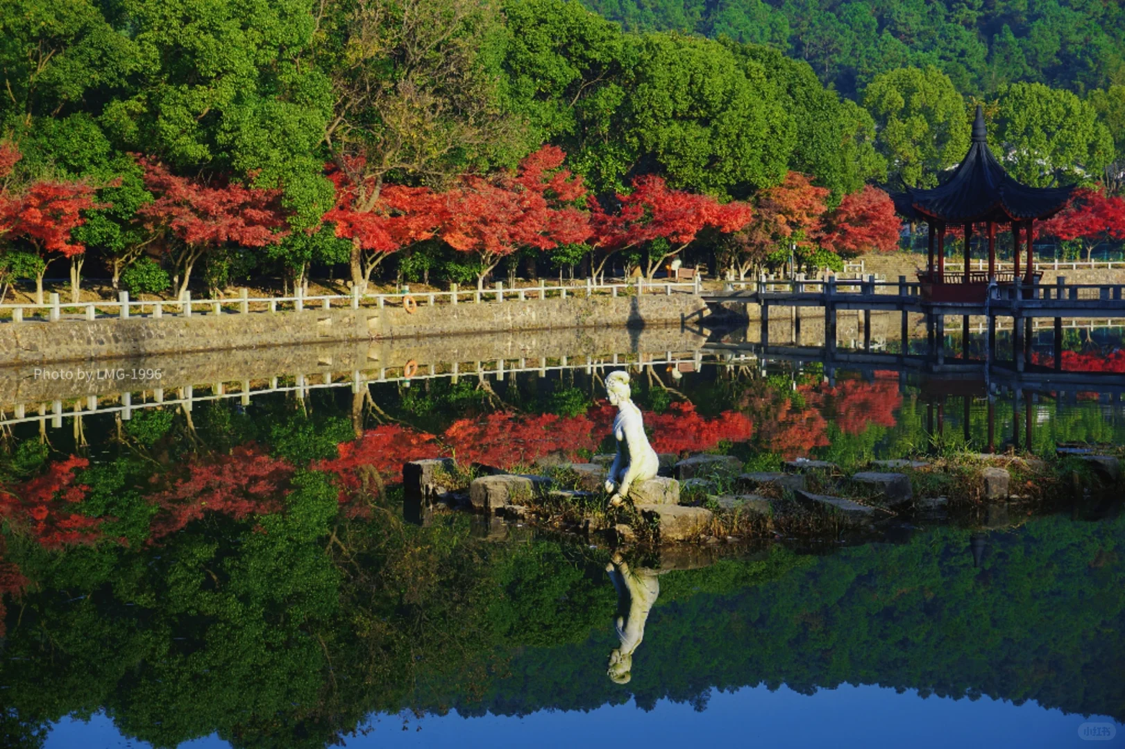 早起的人运气不会太差 看我在旺山拍到了啥