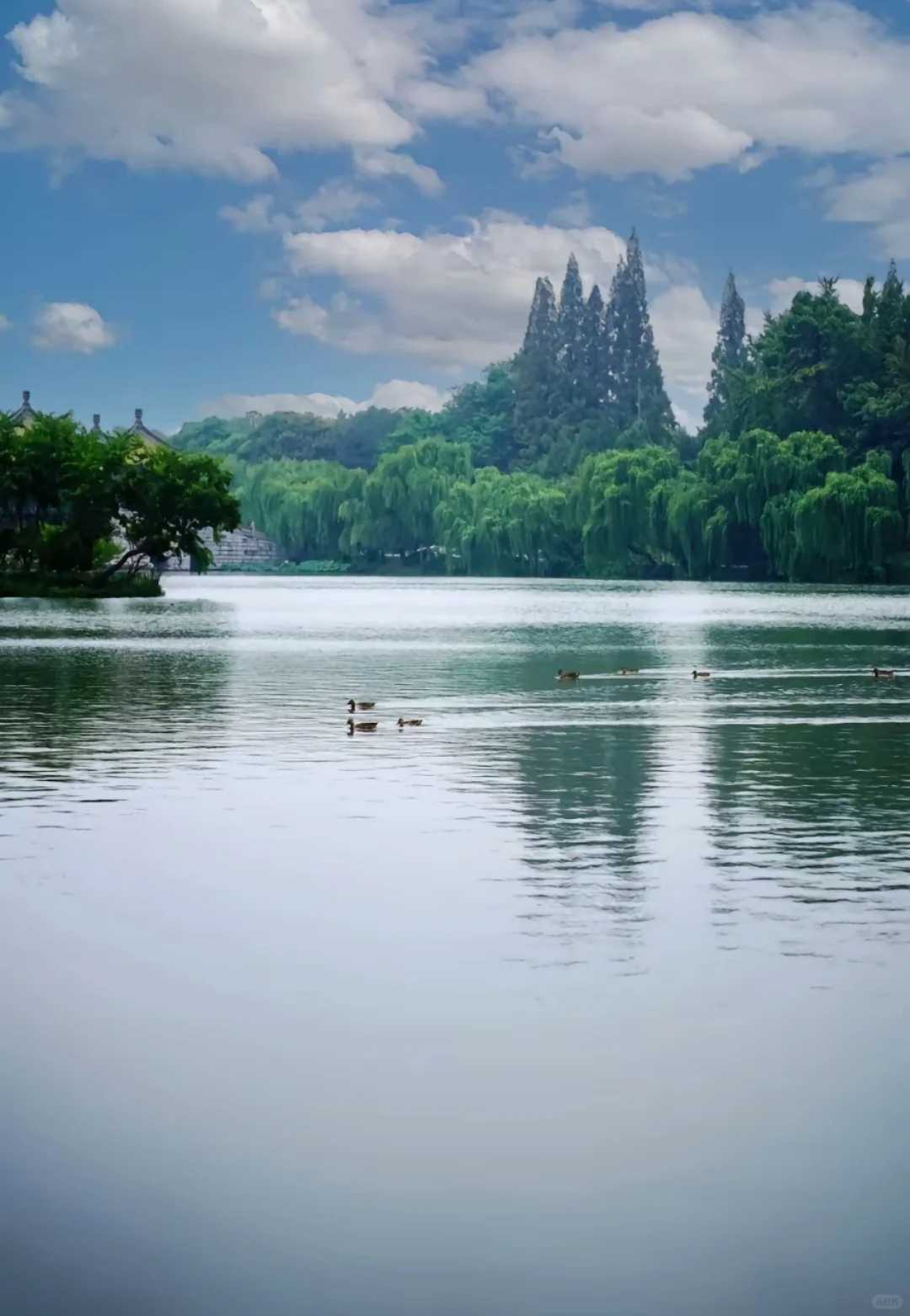 邯郸到南京扬州三日游,打卡夫子庙瘦西湖