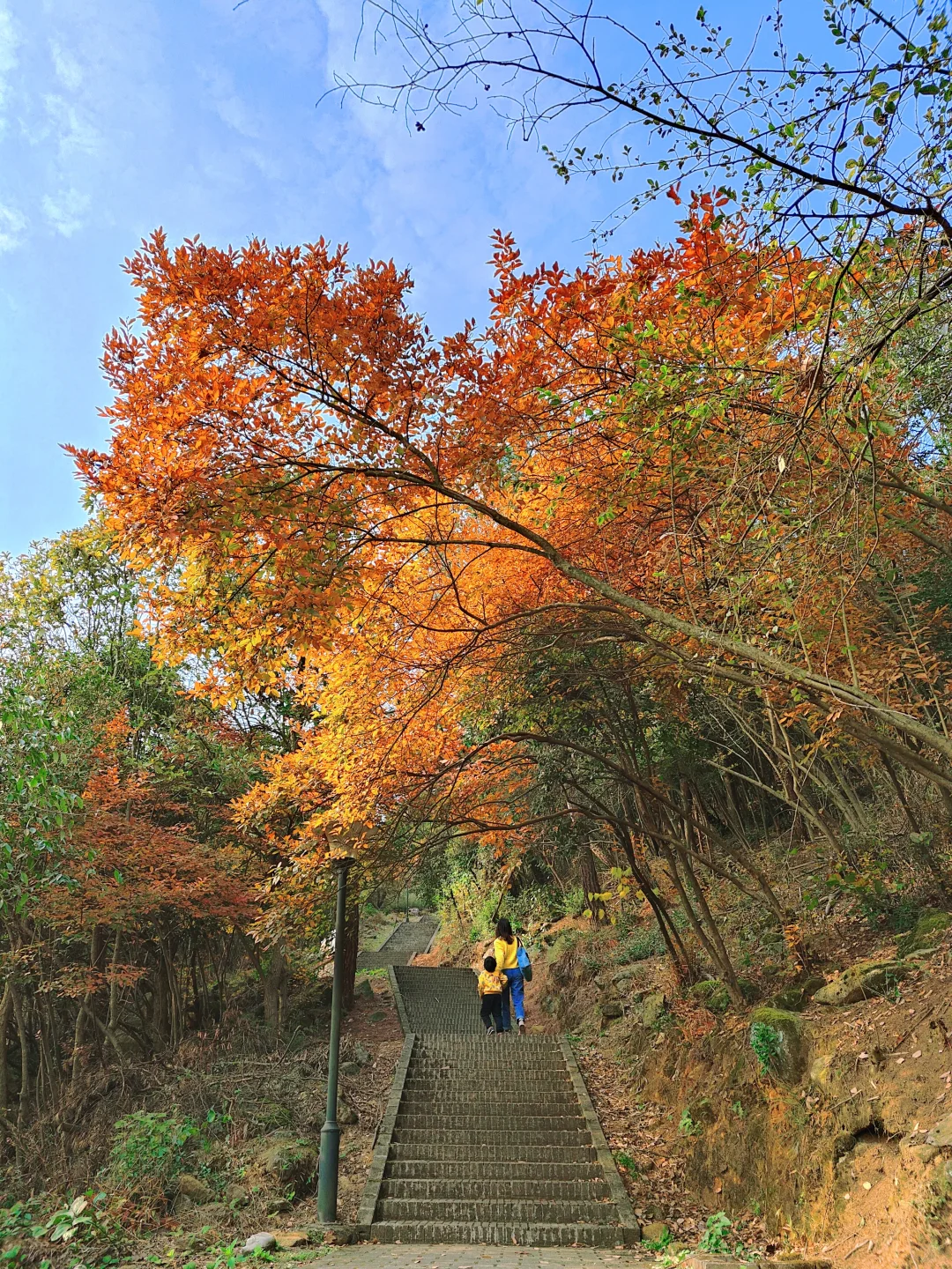 长沙17条徒步路线分享‼️建议收藏