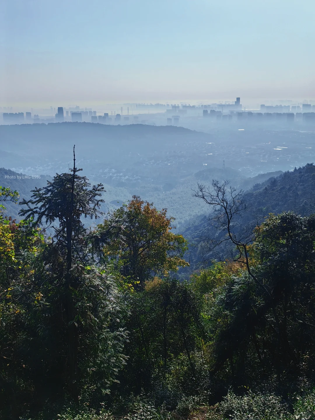 早起的人运气不会太差 看我在旺山拍到了啥