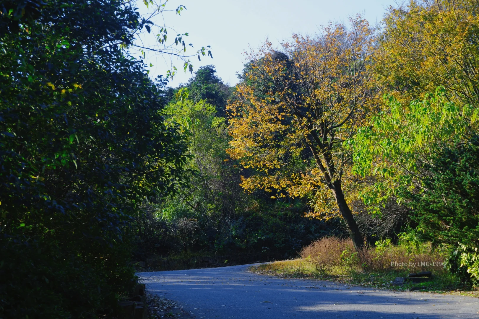 早起的人运气不会太差 看我在旺山拍到了啥
