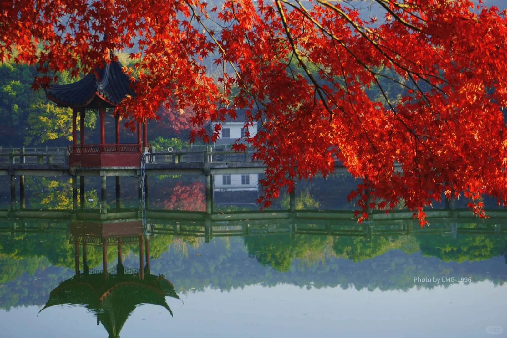 早起的人运气不会太差 看我在旺山拍到了啥